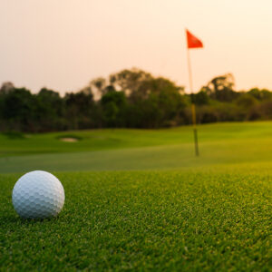 SPONSOR A HOLE